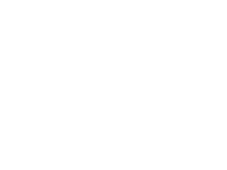 NeuroFlex Center
